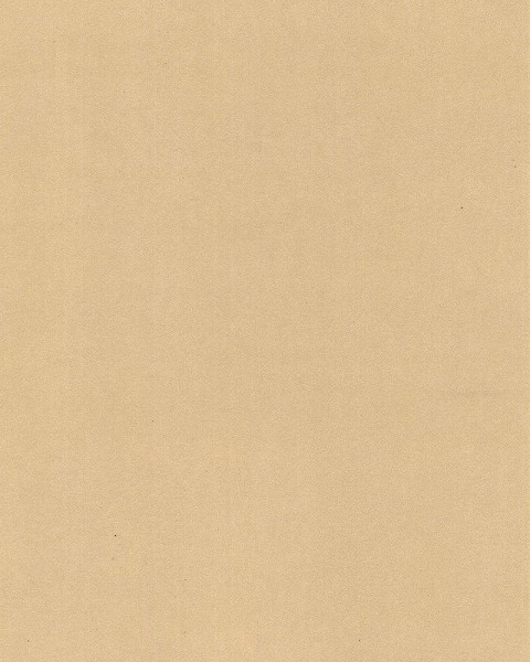 Hattan Palette | 42 Camel